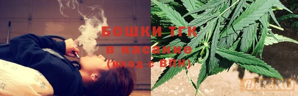 индика Арсеньев