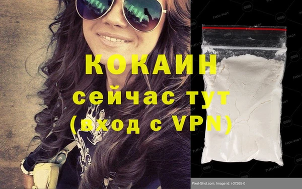 индика Арсеньев