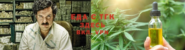 индика Арсеньев