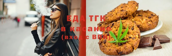 индика Арсеньев