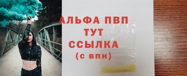 индика Арсеньев