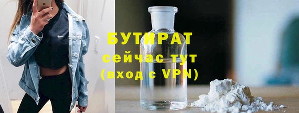 индика Арсеньев