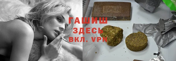 индика Арсеньев