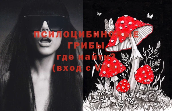 ГАЛЛЮЦИНОГЕННЫЕ ГРИБЫ Армянск