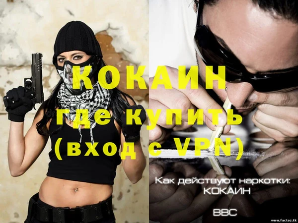 индика Арсеньев