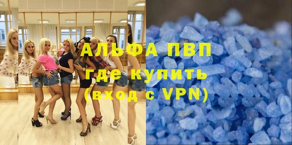 индика Арсеньев