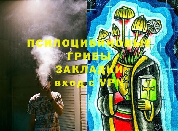 индика Арсеньев