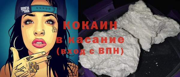 индика Арсеньев