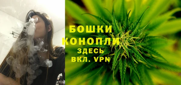 ГАЛЛЮЦИНОГЕННЫЕ ГРИБЫ Армянск