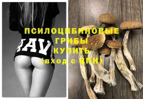 соль ск Аркадак