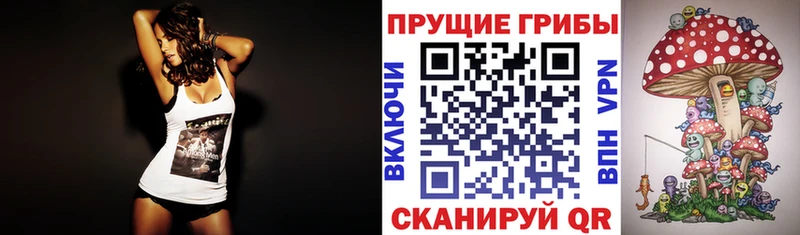 Псилоцибиновые грибы MAGIC MUSHROOMS  наркошоп  Певек 